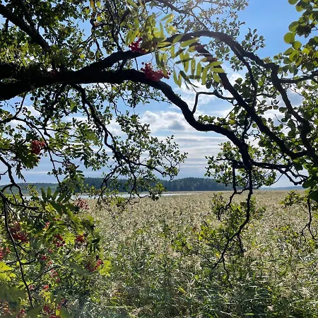 Aronia * Porvoo